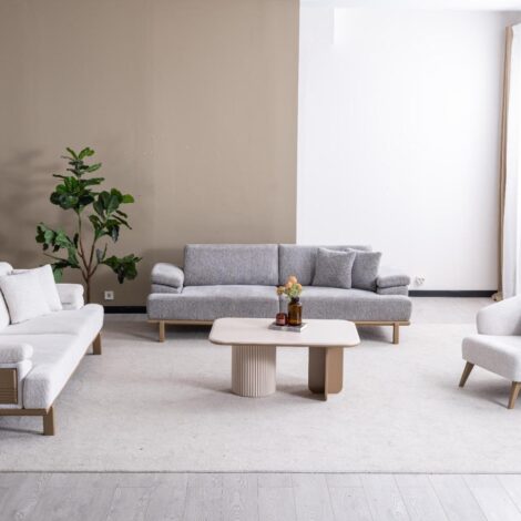 Ensemble de canapés 2